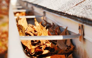 Orton Wistow gutter cleaning companies